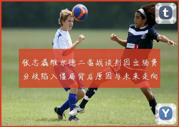 张志磊维尔德二番战谈判因出场费分歧陷入僵局背后原因与未来走向