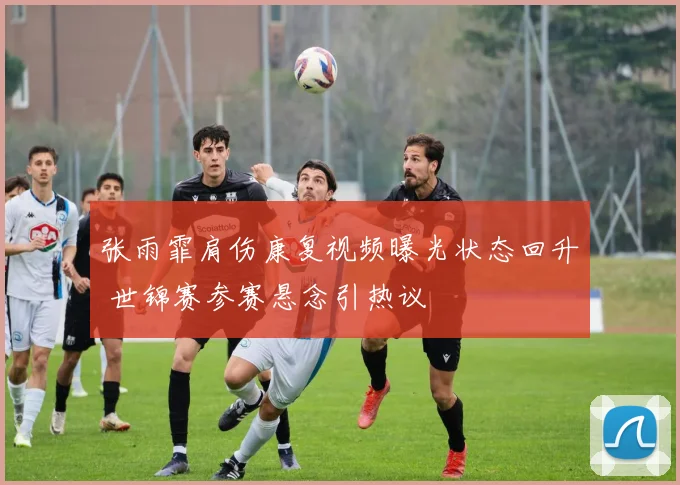 张雨霏肩伤康复视频曝光状态回升 世锦赛参赛悬念引热议