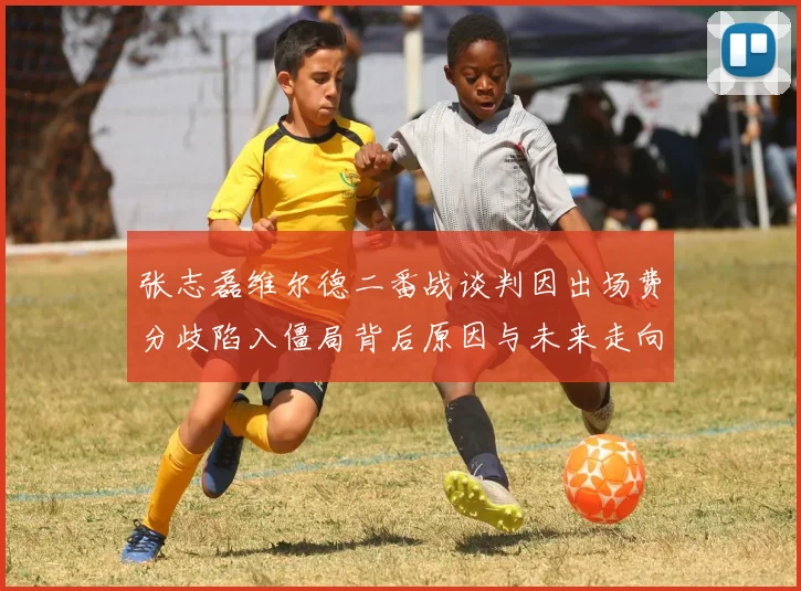 张志磊维尔德二番战谈判因出场费分歧陷入僵局背后原因与未来走向