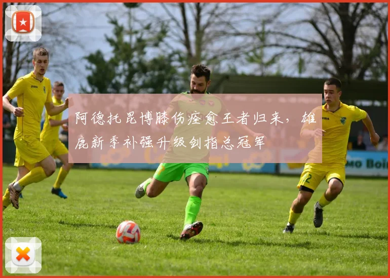 阿德托昆博膝伤痊愈王者归来，雄鹿新季补强升级剑指总冠军