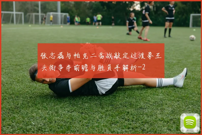 张志磊与帕克二番战敲定过渡拳王头衔争夺前瞻与胜负手解析